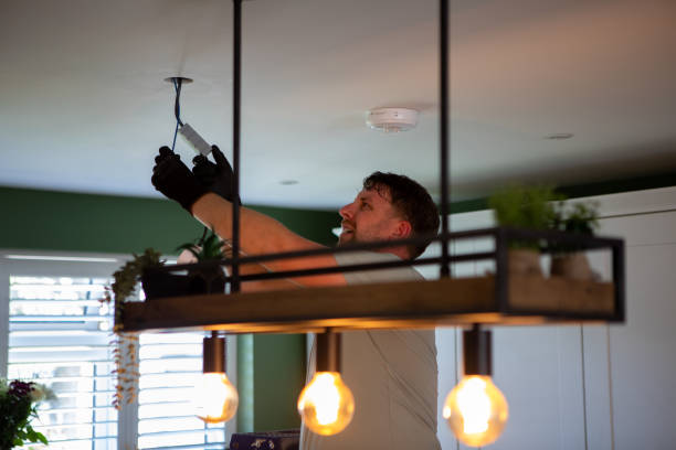 Best Electric Panel Repair  in Lac Du Flambeau, WI